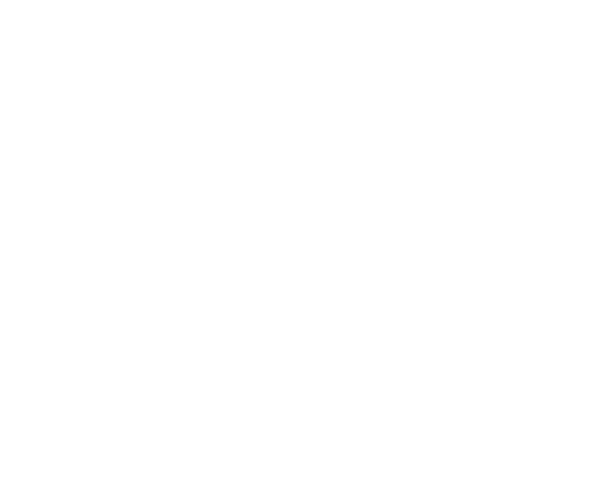 Renlink AS